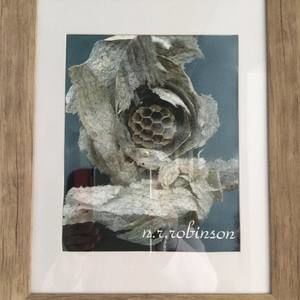 Meet your Posher, Norma